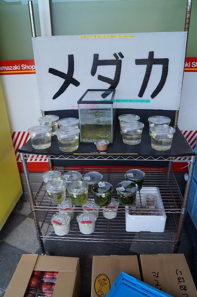 にしお岡ノ山