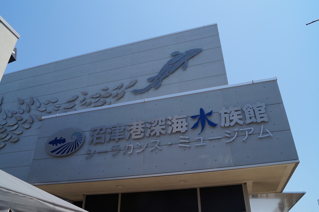 日本で沼津だけ!?深海魚水族館