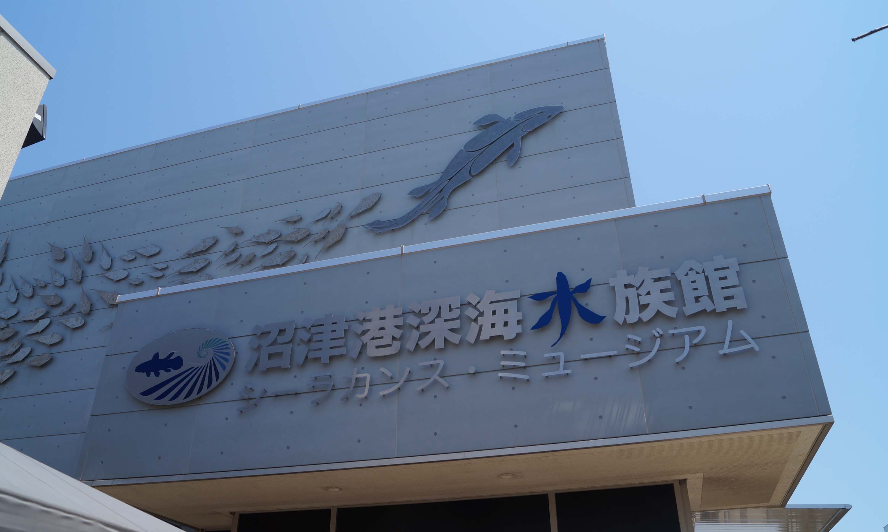 深海魚水族館 3kawa